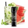 ElfBar ELFA Prefilled Pods Watermelon Mojito