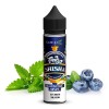 Dr. Fog Shisha Aroma Blaubeere Minze 10ml